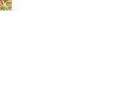 042153n0fl570e40y7y7yt.gif