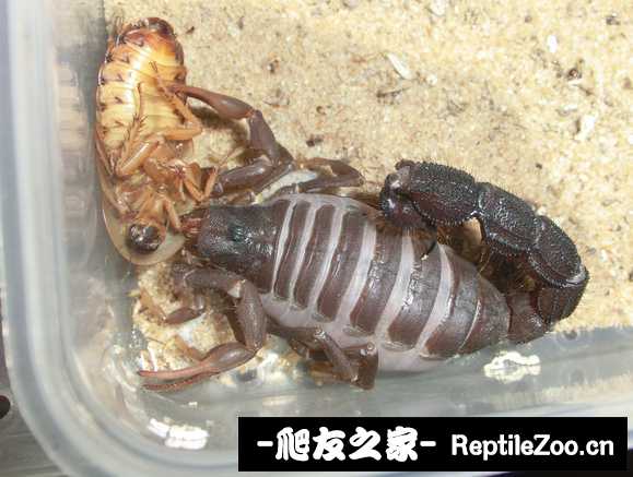 display_picture.php?url=http%3A%2F%2Ftiebapic.baidu.com%2Fforum%2Fw%253D580%2Fsign%3D68793bc68afc1e17fdbf8c397a92f67c%2Fb5ec291f95cad1c88c5670f73a3e6709cb3d5197.jpg
