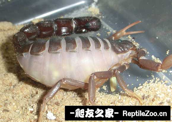 display_picture.php?url=http%3A%2F%2Ftiebapic.baidu.com%2Fforum%2Fw%253D580%2Fsign%3D3c15165387b44aed594ebeec831c876a%2F3f03c111728b4710031fe8d59ecec3fdfc03231d.jpg