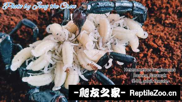 display_picture.php?url=http%3A%2F%2Ftiebapic.baidu.com%2Fforum%2Fw%253D580%2Fsign%3Ddde5de95d758d109c4e3a9bae15accd0%2F509bba003af33a87e9e1bdf1835c10385143b5eb.jpg