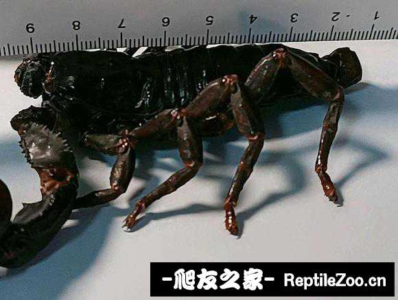 display_picture.php?url=http%3A%2F%2Ftiebapic.baidu.com%2Fforum%2Fw%253D580%2Fsign%3Dff9230a8d758d109c4e3a9bae15accd0%2F509bba003af33a87cb9653cc835c10385143b58b.jpg