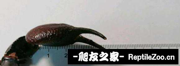 display_picture.php?url=http%3A%2F%2Ftiebapic.baidu.com%2Fforum%2Fw%253D580%2Fsign%3Db09c43cb912a283443a636036bb7c92e%2Fbcb0bf1bb051f81956dd509c9fb44aed2c73e78b.jpg