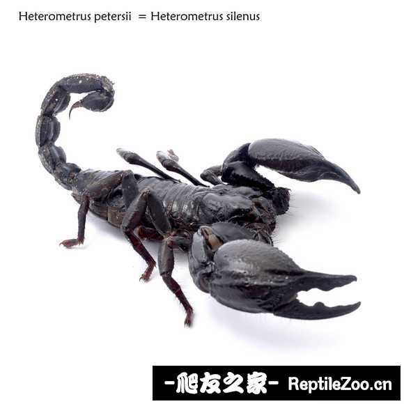 display_picture.php?url=http%3A%2F%2Ftiebapic.baidu.com%2Fforum%2Fw%253D580%2Fsign%3Df82a01659001a18bf0eb1247ae2e0761%2F4d5ecfcec3fdfc03e1bb64f1c33f8794a6c226de.jpg