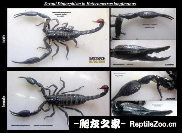 display_picture.php?url=http%3A%2F%2Ftiebapic.baidu.com%2Fforum%2Fw%253D580%2Fsign%3D61ed43662d292df597c3ac1d8c315ce2%2F9fee5d0fd9f9d72a955a9654c32a2834359bbbe4.jpg