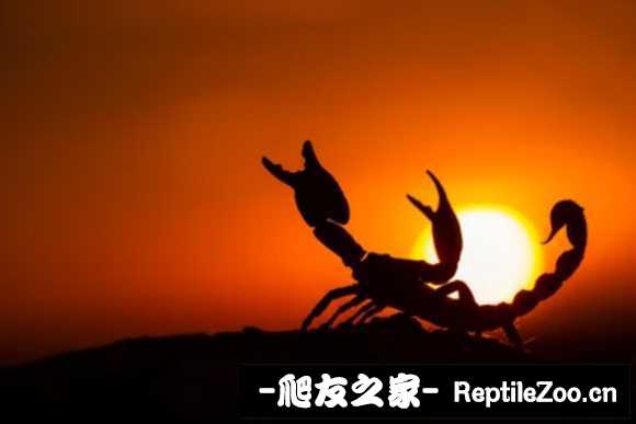 display_picture.php?url=http%3A%2F%2Ftiebapic.baidu.com%2Fforum%2Fw%253D580%2Fsign%3D6b214c3ce51fbe091c5ec31c5b610c30%2F8ff7bf19ebc4b7455343c45cd8fc1e17888215c2.jpg