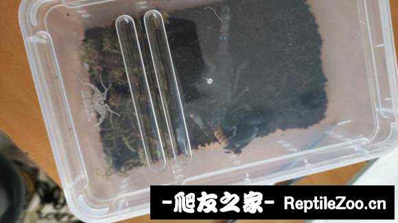 display_picture.php?url=http%3A%2F%2Ftiebapic.baidu.com%2Fforum%2Fw%253D580%2Fsign%3D67c530b44ab30f24359aec0bf894d192%2Fb10a52df8db1cb135518a7c69854564e93584b10.jpg