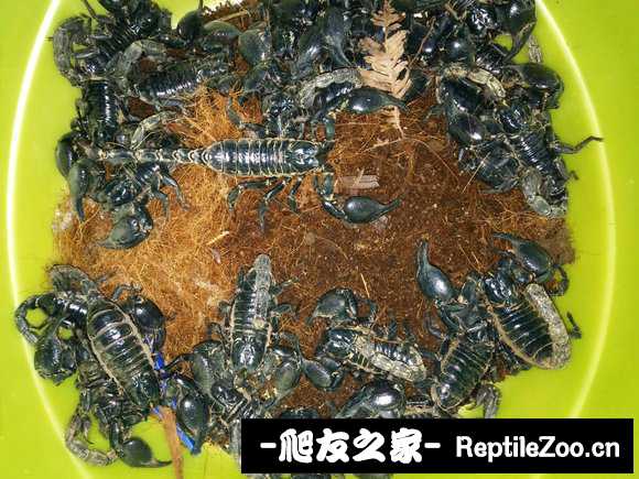 display_picture.php?url=http%3A%2F%2Ftiebapic.baidu.com%2Fforum%2Fw%253D580%2Fsign%3Da20e1a37073853438ccf8729a312b01f%2F1b8d0b0828381f307e0064f2be014c086f06f0f7.jpg