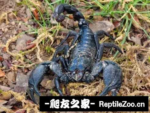 display_picture.php?url=http%3A%2F%2Ftiebapic.baidu.com%2Fforum%2Fw%253D580%2Fsign%3D46d9115875d0f703e6b295d438fb5148%2Fb058eacd7b899e51c3797d5b55a7d933c9950d28.jpg