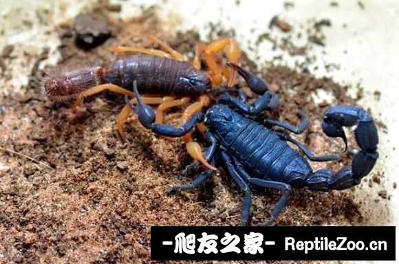 display_picture.php?url=http%3A%2F%2Ftiebapic.baidu.com%2Fforum%2Fw%253D580%2Fsign%3Ddb15db939d13632715edc23ba18ea056%2F1289d80735fae6cdb143ec2e18b30f2443a70f28.jpg