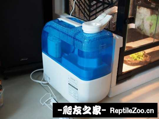 133833mks6mb1zx9p96wob.jpg