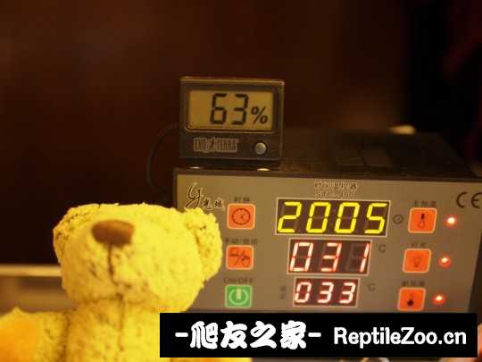 133835gize0z4tltzq17y7.jpg