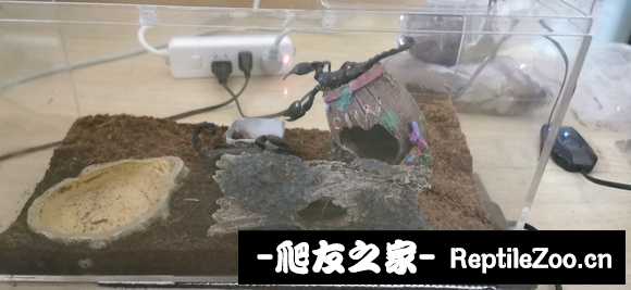 display_picture.php?url=http%3A%2F%2Ftiebapic.baidu.com%2Fforum%2Fw%253D580%2Fsign%3D1584e785b851f3dec3b2b96ca4eff0ec%2Feec1fa246b600c330fd6f1870d4c510fd8f9a170.jpg