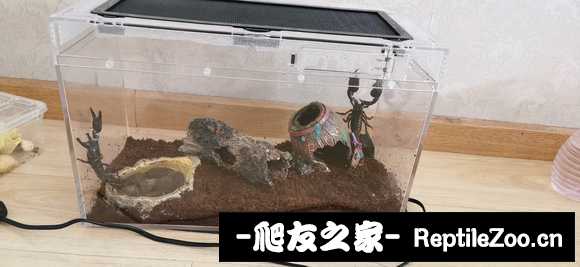 display_picture.php?url=http%3A%2F%2Ftiebapic.baidu.com%2Fforum%2Fw%253D580%2Fsign%3D805f83804566d0167e199e20a72ad498%2F312d805494eef01f83ad1888f7fe9925bd317d60.jpg