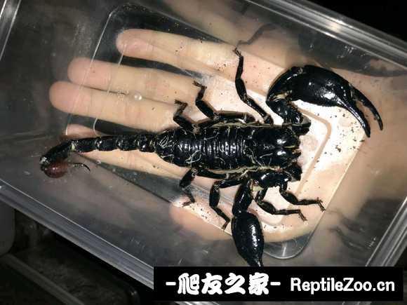 display_picture.php?url=http%3A%2F%2Ftiebapic.baidu.com%2Fforum%2Fw%253D580%2Fsign%3D796d42bc6a1ed21b79c92eed9d6fddae%2F607feb1190ef76c6591628658a16fdfaad5167df.jpg