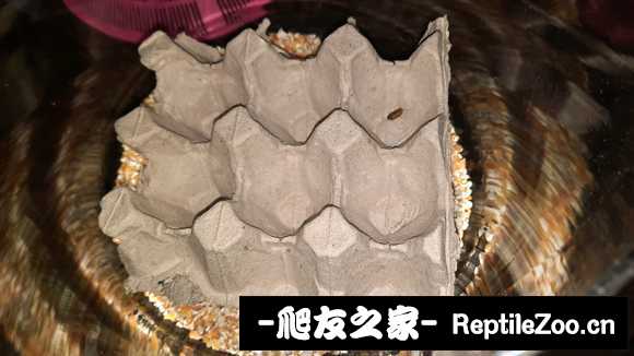 display_picture.php?url=http%3A%2F%2Ftiebapic.baidu.com%2Fforum%2Fw%253D580%2Fsign%3D282cf3687a224f4a5799731b39f69044%2Ff6528e025aafa40fd12c4b93bc64034f79f0193c.jpg