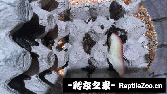 display_picture.php?url=http%3A%2F%2Ftiebapic.baidu.com%2Fforum%2Fw%253D580%2Fsign%3D3841197f5b086e066aa83f4332097b5a%2F8b5617d5ad6eddc4d10231b52edbb6fd5366333d.jpg