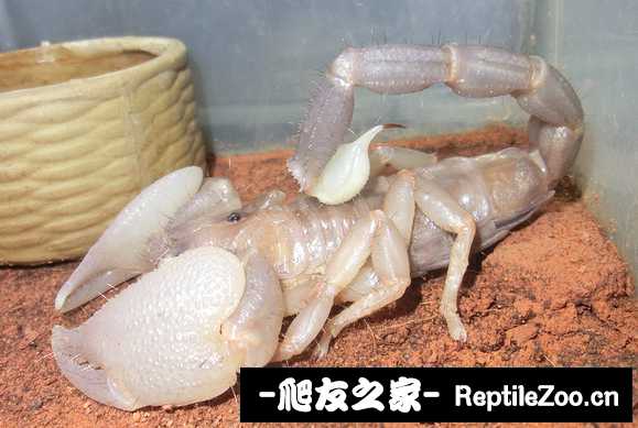 display_picture.php?url=http%3A%2F%2Ftiebapic.baidu.com%2Fforum%2Fw%253D580%2Fsign%3D843ef243af0e7bec23da03e91f2fb9fa%2Fb8cf59fbb2fb4316d01d9c3637a4462308f7d39b.jpg