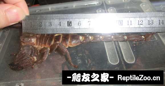 display_picture.php?url=http%3A%2F%2Ftiebapic.baidu.com%2Fforum%2Fw%253D580%2Fsign%3D67b05f2883eef01f4d1418cdd0ff99e0%2F02e6e7f81a4c510f0ac604567759252dd52aa59b.jpg