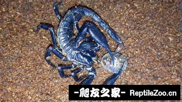 display_picture.php?url=http%3A%2F%2Ftiebapic.baidu.com%2Fforum%2Fw%253D580%2Fsign%3D8ef119cac7a20cf44690fed746084b0c%2F77715b2c11dfa9ec5d60c85a75d0f703908fc150.jpg