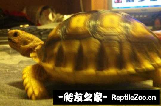 135425cydrz08fl08y8yrc.jpg