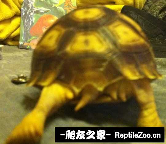 135425d5vom3uxiuhq5izo.jpg