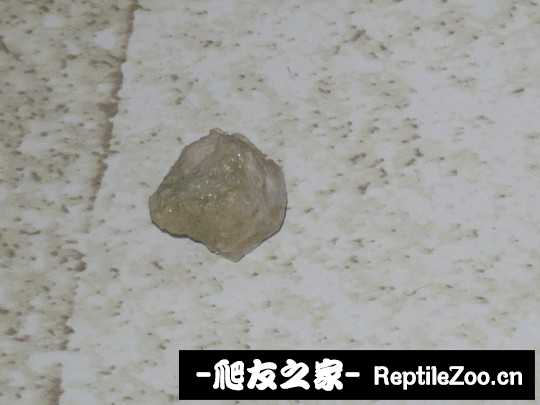135435lssrmqvrvmm6i6vz.jpg
