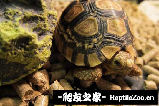 135439tf6bj9vbzjnkimj3.jpg