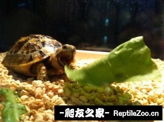 135553c8ur18iu7zuuqzd6.jpg