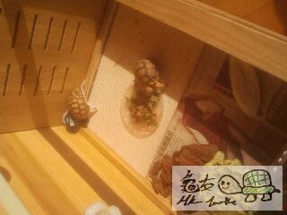 135615v16o8tawavt51aoi.jpg