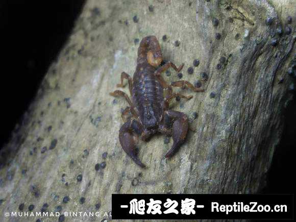display_picture.php?url=http%3A%2F%2Ftiebapic.baidu.com%2Fforum%2Fw%253D580%2Fsign%3D225ff1496ccb0a4685228b315b62f63e%2F2a6175310a55b319c56891c654a98226cefc1715.jpg