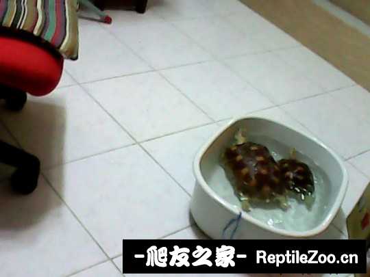 135855j54aa29iae94ir3y.jpg