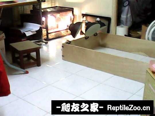 135855p91l2ml013y44k00.jpg