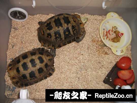 135927vzqp9vtligj8qg9i.jpg
