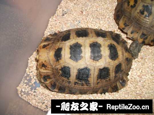 135928gw8zp4oj5dbhbh5z.jpg
