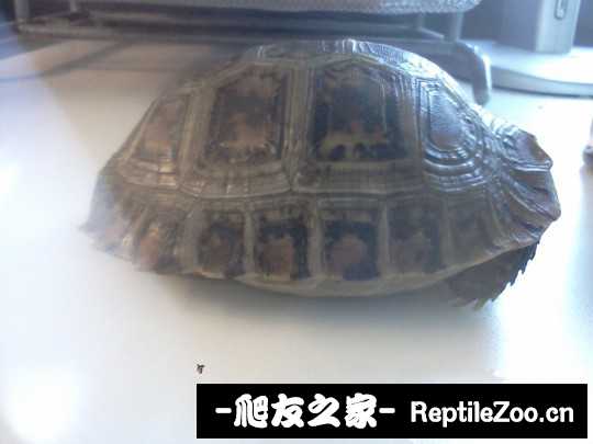 135947ozhqd96oghrbhrxb.jpg