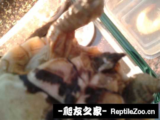 135958exok99bhci1ijhl1.jpg