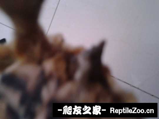 135959c46yt6mh9d9v2tm6.jpg
