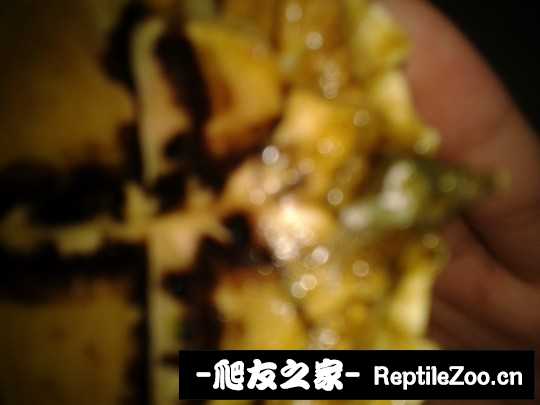 140001jaoj778cddaz889o.jpg