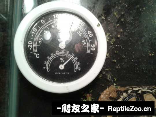 140027o4oj8unhotldouad.jpg