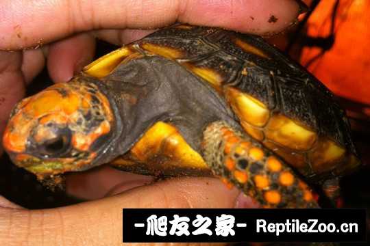 140051ymk7z7frff7faxax.jpg