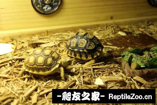 140146ouupc2q0b5dd60db.jpg