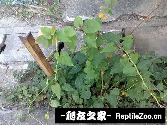 140237knpttpr83u8r4uri.jpg