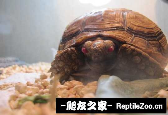 140313xenm52kp0x5fkfeh.jpg