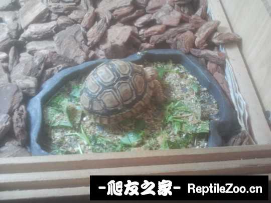 140423l6ghr1vr161ghvpv.jpg