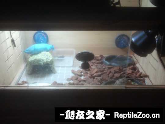 140423lftt2d05iysyqwwy.jpg