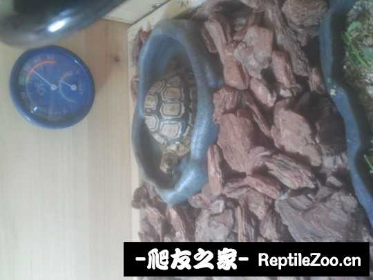 140424lrx6g06g3xxu65ia.jpg