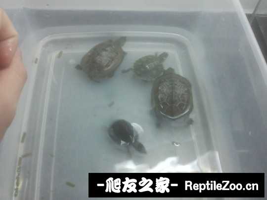 140425ir985epd9pp0z699.jpg