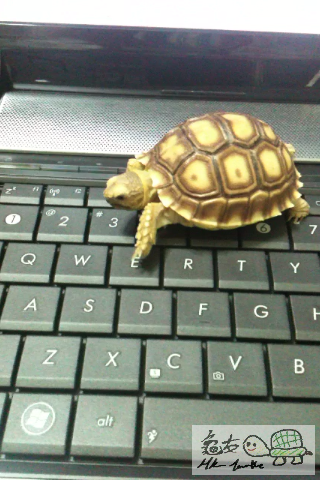 141017a4rz5l0bg40rmsog.png