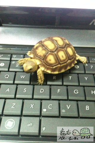 141019z9wmtw7z7ozgrrii.png