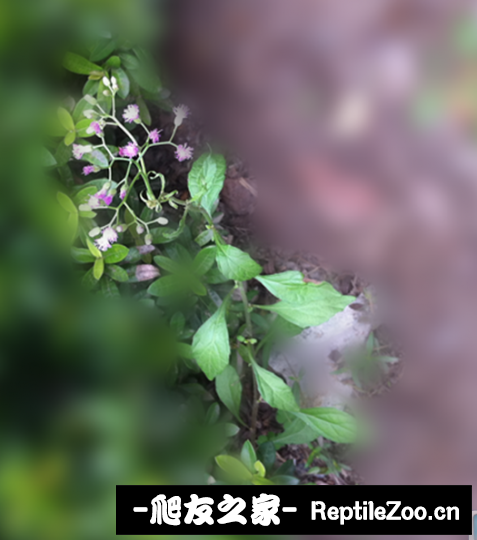 141129tjawn4xjz445mjsq.png